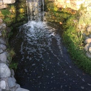 Meet your Posher, Leticia